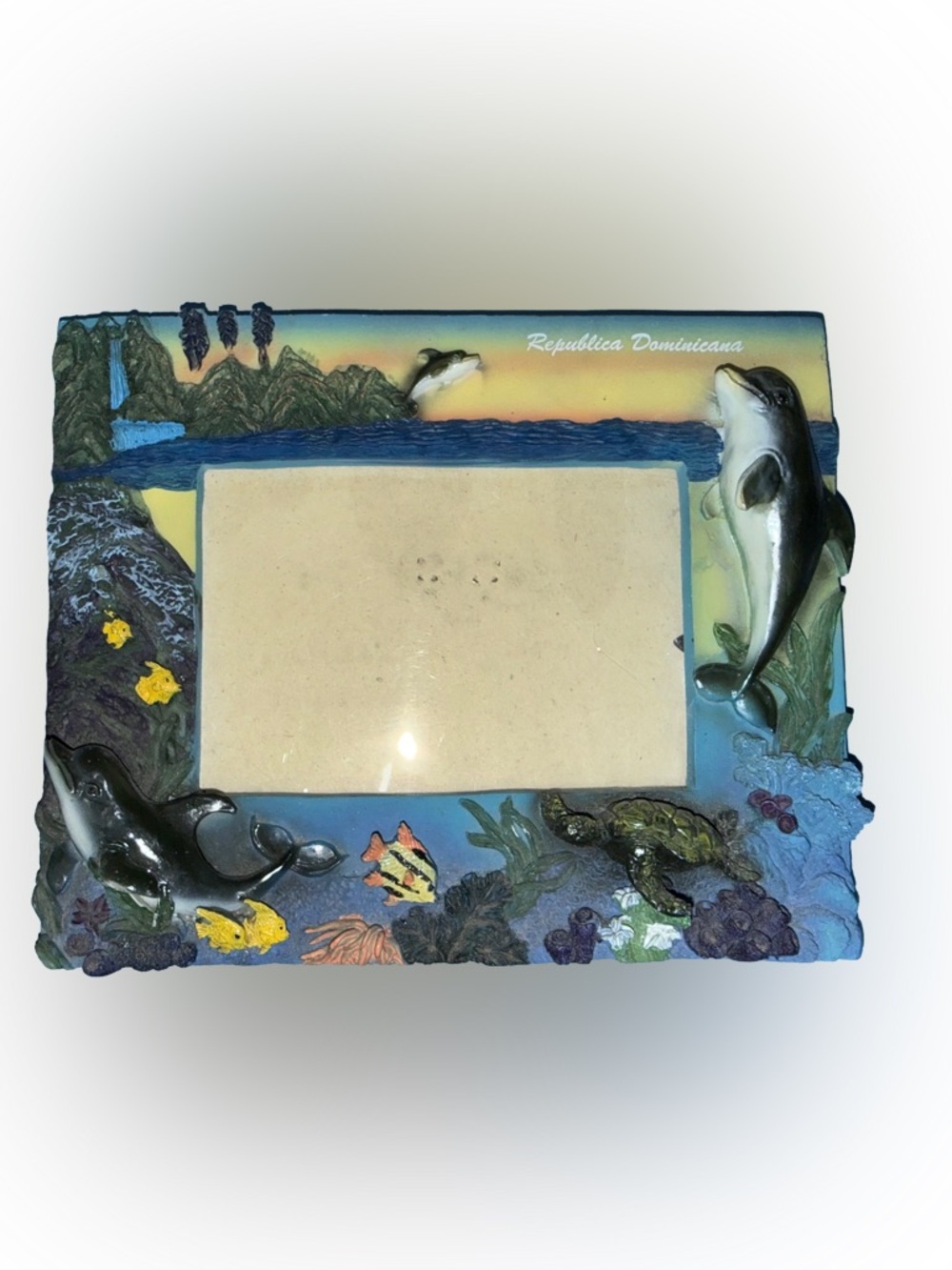 Dominican Republic Dolphin & Reef Photo Frame - Multicolor